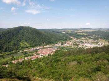 Trail Walking Pays-de-Clerval - Bois de la Cote - Photo