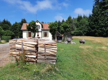 Randonnée Marche Barr - Autour de la vallée de la Kirneck - Photo