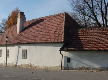 Tour Zu Fuß Gemeinde Winzendorf-Muthmannsdorf - Rundwanderweg 2 (Muthmannsdorf) - Photo