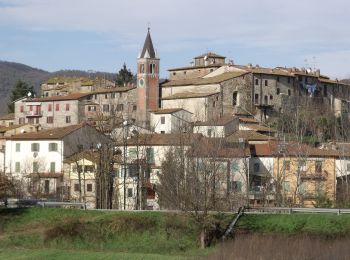 Percorso A piedi Bucine - IT-103 - Photo