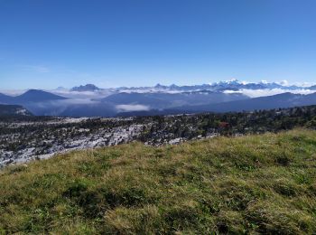 Tocht Stappen Fillière - la tête du Parmeka  - Photo