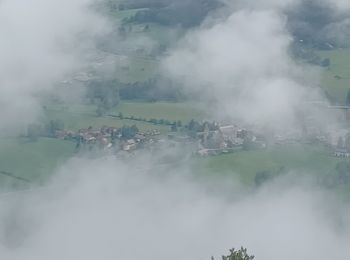 Randonnée Marche Seyne - SEYNES LES ALPES Bas et haut Chardavon  , balade de la Rochette , ravin des Ganiayes , les Côtes n - Photo