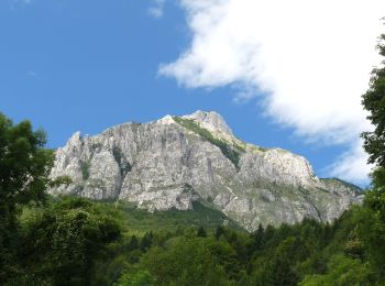 Tour Zu Fuß Caldonazzo - Sentiero dei Ronchi - Photo