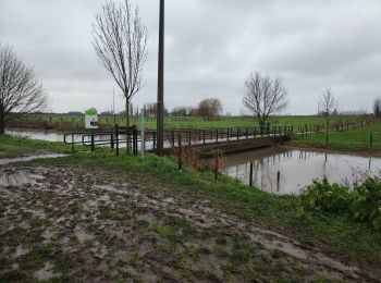 Excursión Senderismo Dentergem - Wakken - Photo