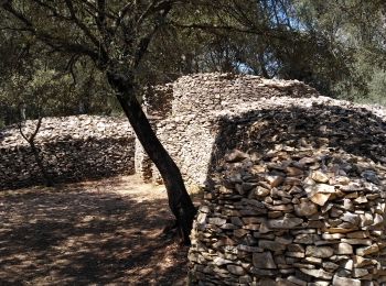 Tour Wandern Bernis - Sentier des Capitelles  - Photo