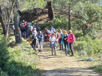 Excursión Senderismo Villeneuve-Minervois - Villeneuve Mvois - Photo