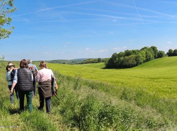 Randonnée Marche Belforêt-en-Perche - La Perrière - Saint-Germain-de-la-Coudre via Igé (TCP) 27 km - Photo