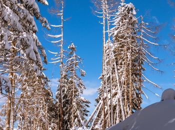 Tocht Te voet Lesachtal - Wanderweg 24 Samalm - Photo