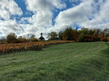 Randonnée Marche Jongieux - jongieux - Photo