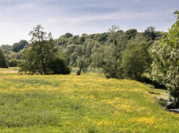 Tocht Stappen Thiron-Gardais - Nogent-le-Rotrou - Thiron-Gardais via Marolles-les-Buis 20 km - Photo