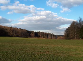 Randonnée Marche Durbuy - Barvaux - Photo