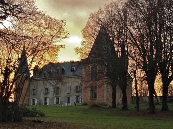 Randonnée A pied Saint-Étienne-sur-Usson - La Ronde des Suquets - Photo