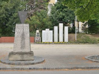 Tour Zu Fuß Gemeinde Fischamend - Dominik Immobilien Runde (Fischamend) - Photo