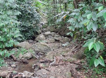 Tocht Stappen Fort-de-France - Boucle d'Absalon via Les Bénédictins et Morne Bois d'Inde. - Photo