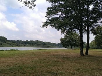 Tour Radtourismus  Nouan-le-Fuzelier - boucle Noan le Fuzelier-étang du puits - Photo