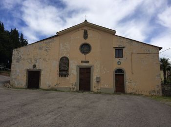 Excursión A pie Pelago - Sorgenti di Firenze Trekking – Anello Principale: Tappa 6 - Photo