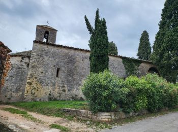 Randonnée Marche Fayence - FAYENCE - TOUR DES CHAPELLES  - Photo