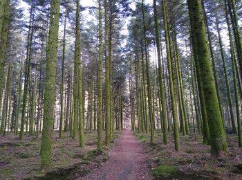 Tocht Stappen Pouxeux - les 3 Communes - Photo