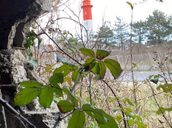 Trail Walking Cayeux-sur-Mer - Crayeux sur mer - Photo