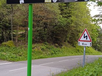 Randonnée Vélo de route La Bresse - vieil Armand  - Photo