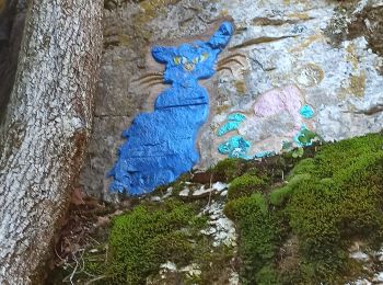 Tour Wandern Marsannay-la-Côte - Le chat bleu. Marsannay la côte.  - Photo