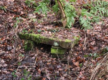 Randonnée A pied Inconnu - Rundwanderweg Darmstadt Am Forschungszentrum 9: Dianaburg-Weg - Photo