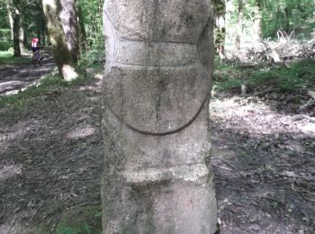 Randonnée V.T.T. Semondans - menhir de Brevilliers  - Photo