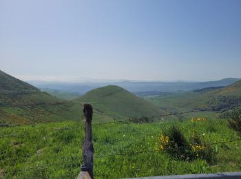 Percorso Bicicletta elettrica Saint-Nectaire - camping St nectaire \camping Murat le quaire - Photo