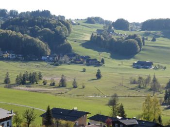 Percorso A piedi Thalgau - Fuschl am See Wanderweg - Photo