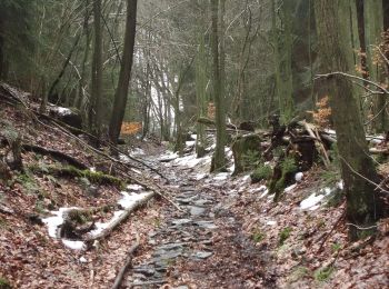 Excursión A pie Monschau - Der Pejo-Weiss-Weg - Photo