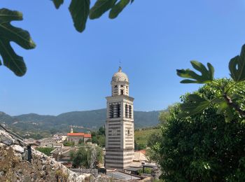 Tocht Stappen Monterosso al Mare - Monterosso Levanto  - Photo