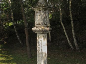 Percorso A piedi Gemeinde Groß Gerungs - Zwettltal 1 - Photo