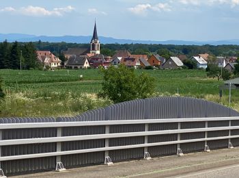 Excursión Bici eléctrica Ostwald - Château  - Photo