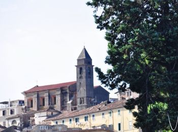 Percorso A piedi Genzano di Roma - Periplo del Lago di Nemi - Photo