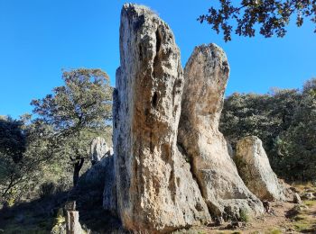 Randonnée Marche Chantemerle-lès-Grignan - Chantemerle-Les Grignan Les jumelles du Rozet Clansayes 15km - Photo