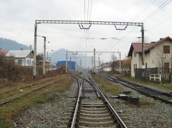 Percorso A piedi Câmpulung Moldovenesc - Câmpulung Moldovenesc - Izvorul Alb - Poiana Limpedea - Șaua Ciobanilor - Photo