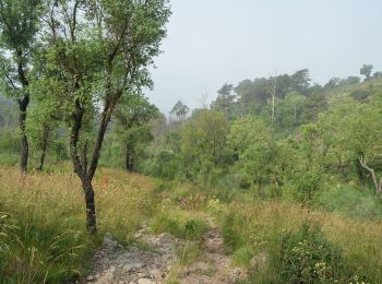 Tour Zu Fuß Monte Córdova - Histórico Pré-Industrial - Photo