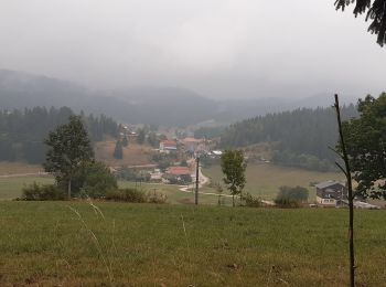 Randonnée Marche Lajoux - GTJ jour 16 - Photo