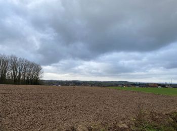 Excursión Senderismo Ath - Dimanche 20/12/2020 - Photo