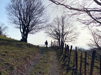 Excursión Senderismo Saint Geniez d'Olt et d'Aubrac - Les Vergnes Mailhebiau Tourbière  - Photo