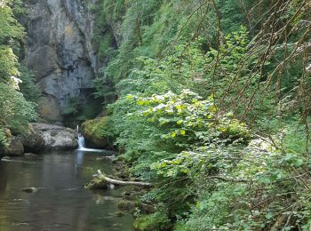 Excursión Senderismo Vic-sur-Cère - vallée de la cere  - Photo