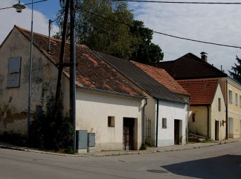 Percorso A piedi Gemeinde Mistelbach - tutgut-Wanderweg Route 2 - Photo