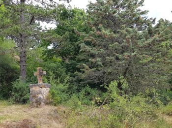 Tour Nordic Walking Nant - Canoles du Larzac - Photo