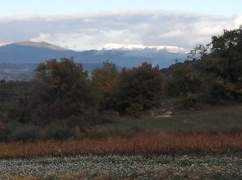 Trail Walking Cairanne - cairanne sentier bouteille - Photo