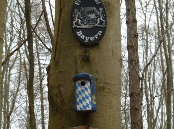 Excursión A pie Schaafheim - Rundwanderweg Schaafheim Sterbach 3: Kesselrain-Weg - Photo