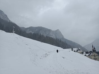 Trail Walking Saint-Pierre-de-Chartreuse - Monastère de la Grande Chartreuse  - Photo