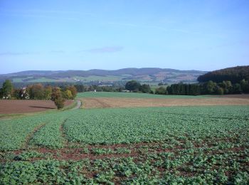 Tour Zu Fuß Dörentrup - A1 Rundwanderweg um den Lühberg bei Wendlinghausen - Photo