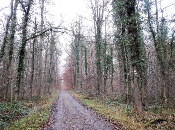 Tocht Te voet Herrenberg - Roter Punkt, Herrenberg - Naturfreundehaus - Photo