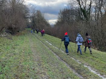 Randonnée Marche Chézy-sur-Marne - CHEZY 090125 - Photo