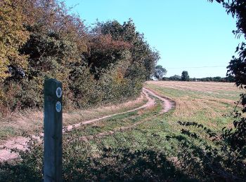 Tour Zu Fuß North Hertfordshire - HOOP - Hitchin Outer Orbital Path - Photo